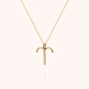 Collier Astro Bélier